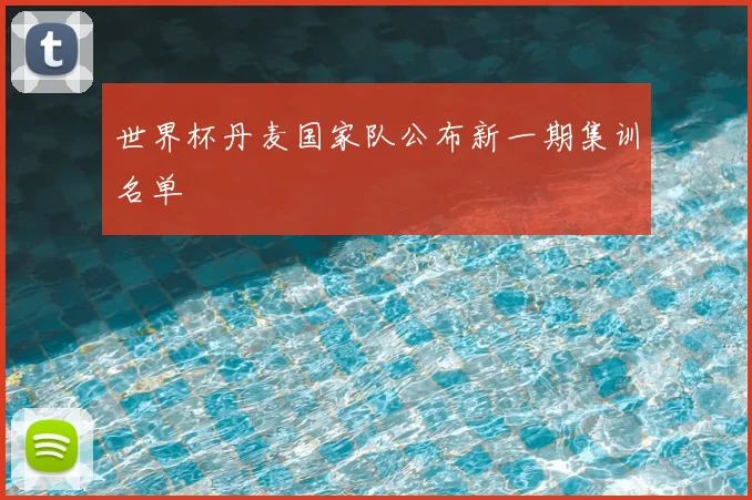 世界杯丹麦国家队公布新一期集训名单