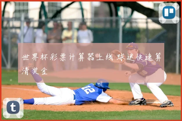 世界杯彩票计算器上线 球迷快速算清奖金